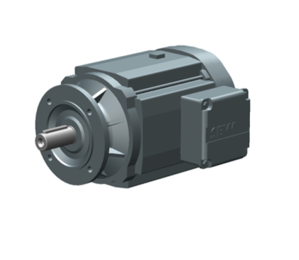 AC motor DRN100LS4/FL